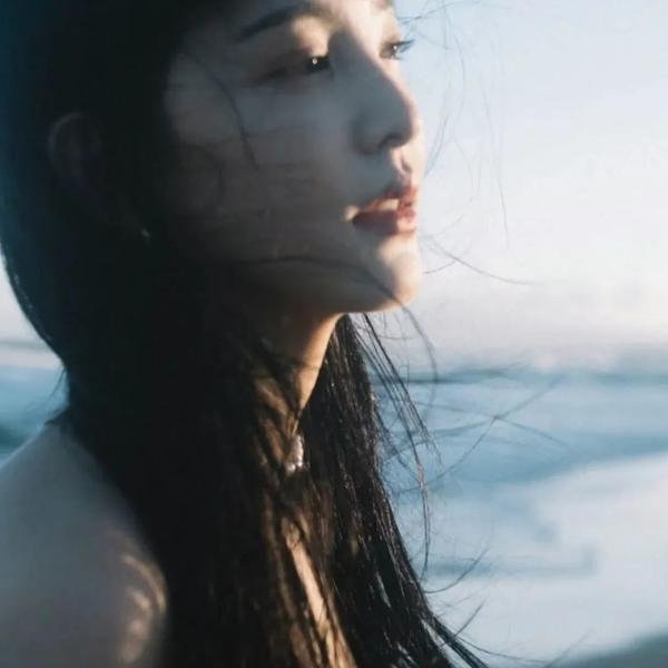 森林之北